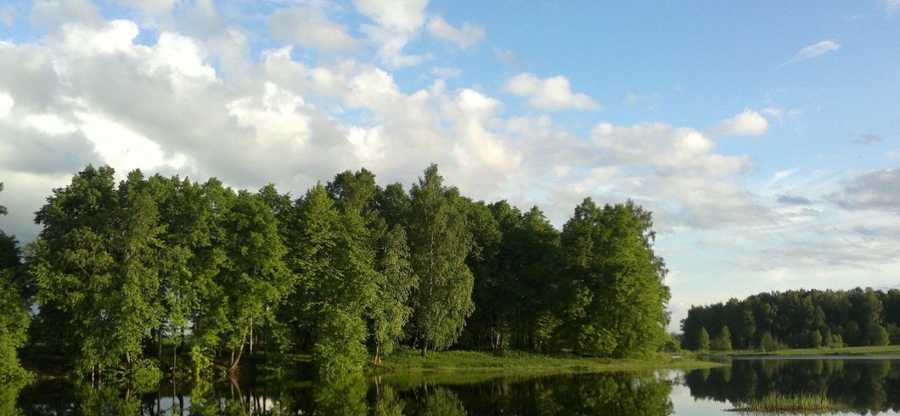 земля городской округ Наро-Фоминский д Ястребово фото 25