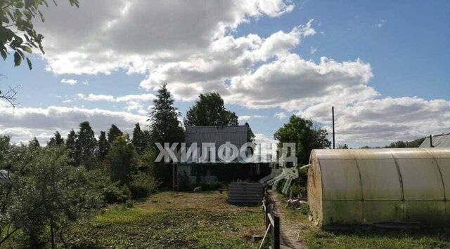 дом ул Ивовая Толмачевский сельсовет фото