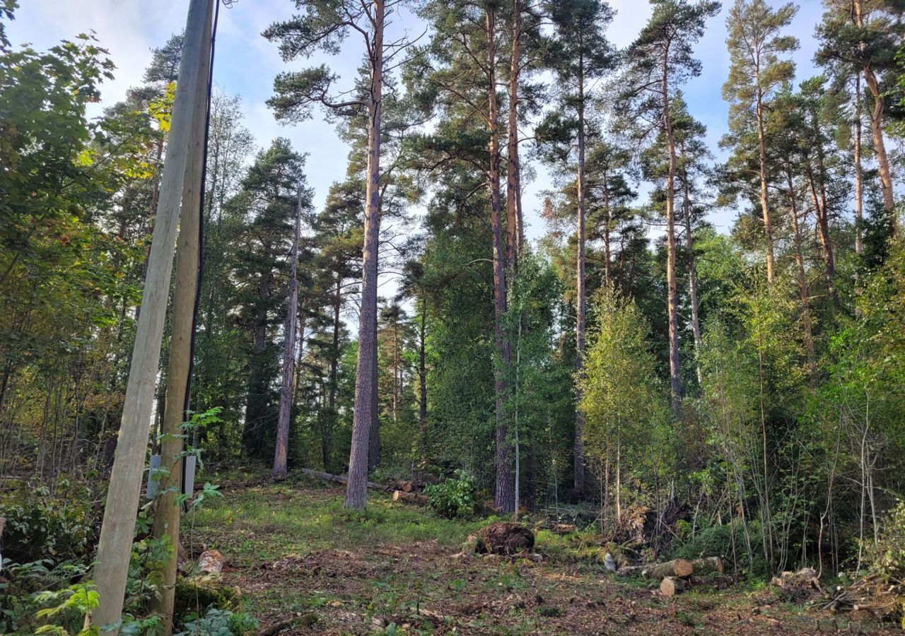 земля р-н Приозерский г Приозерск Приозерское городское поселение фото 4