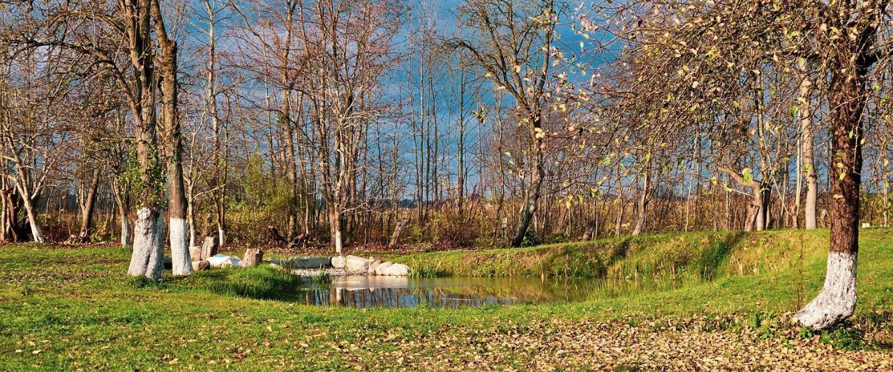 дом р-н Гурьевский п Горловка ул Дружная 1 фото 9