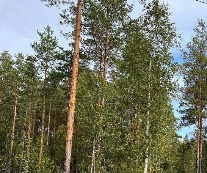 дом р-н Всеволожский Агалатовское с/пос, Лемболово Парк-9 кп, 33 фото 3