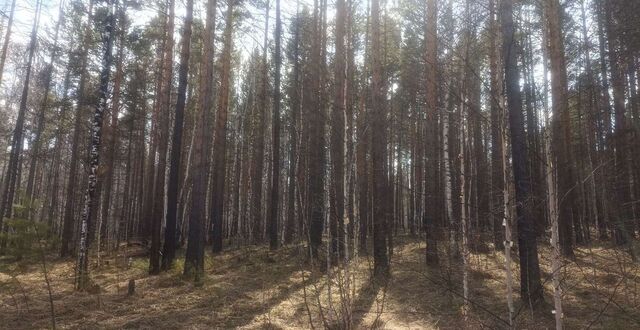 Ангарское городское муниципальное образование, Мегет фото