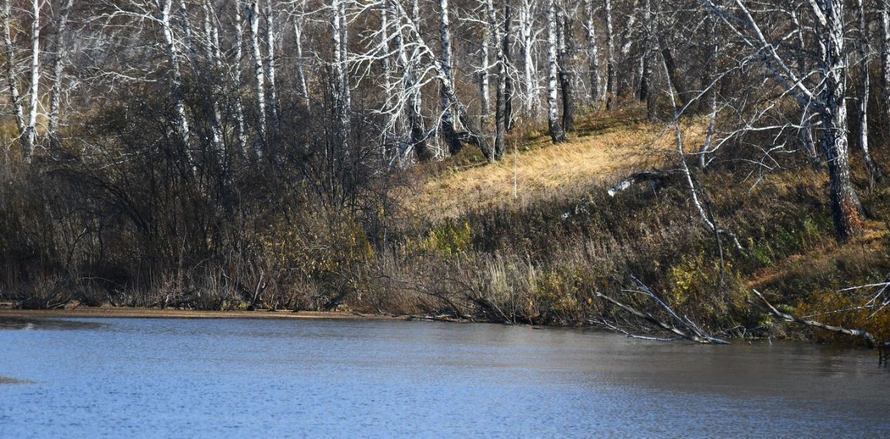 дом р-н Мошковский с Новомошковское фото 10