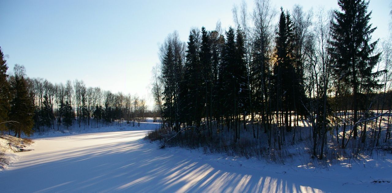 земля р-н Александровский д Дарьино Каринское муниципальное образование фото 23