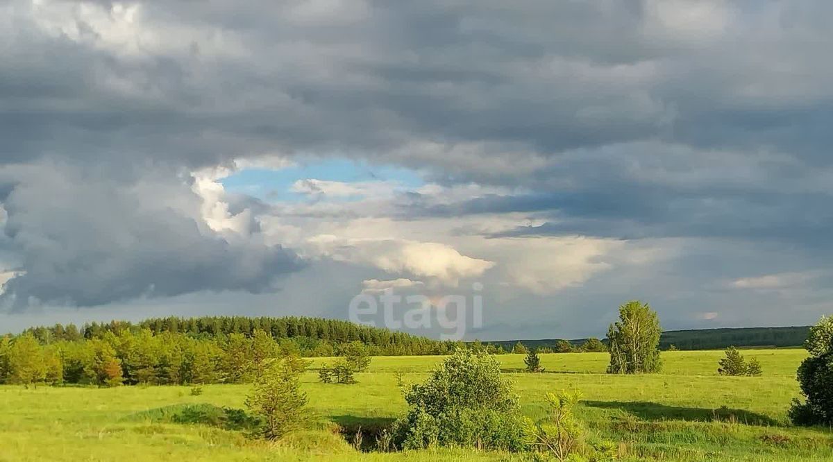 земля р-н Тереньгульский с Подкуровка ул Центральная Подкуровское с/пос фото 12