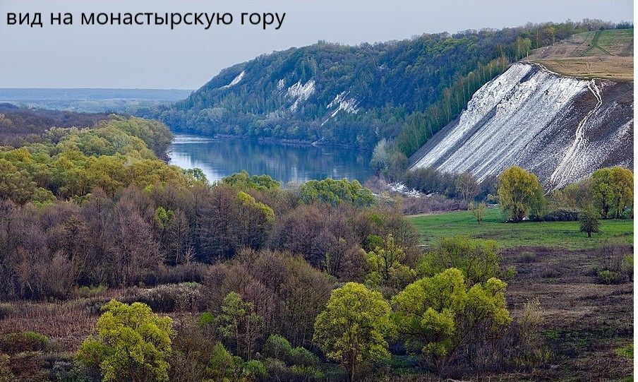 земля р-н Подгоренский х Кирпичи Белогорьевское сельское поселение, Павловск фото 4