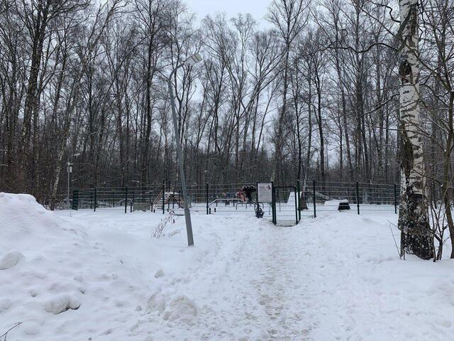 мкр 3-й 4 Новомосковский административный округ, Московская область, городской округ Зарайск, Московский фото