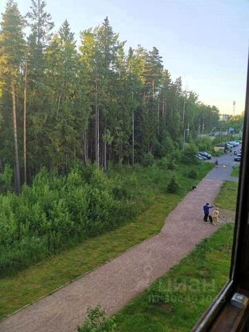 квартира 5/1 Сертоловское городское поселение, Верная улица фото