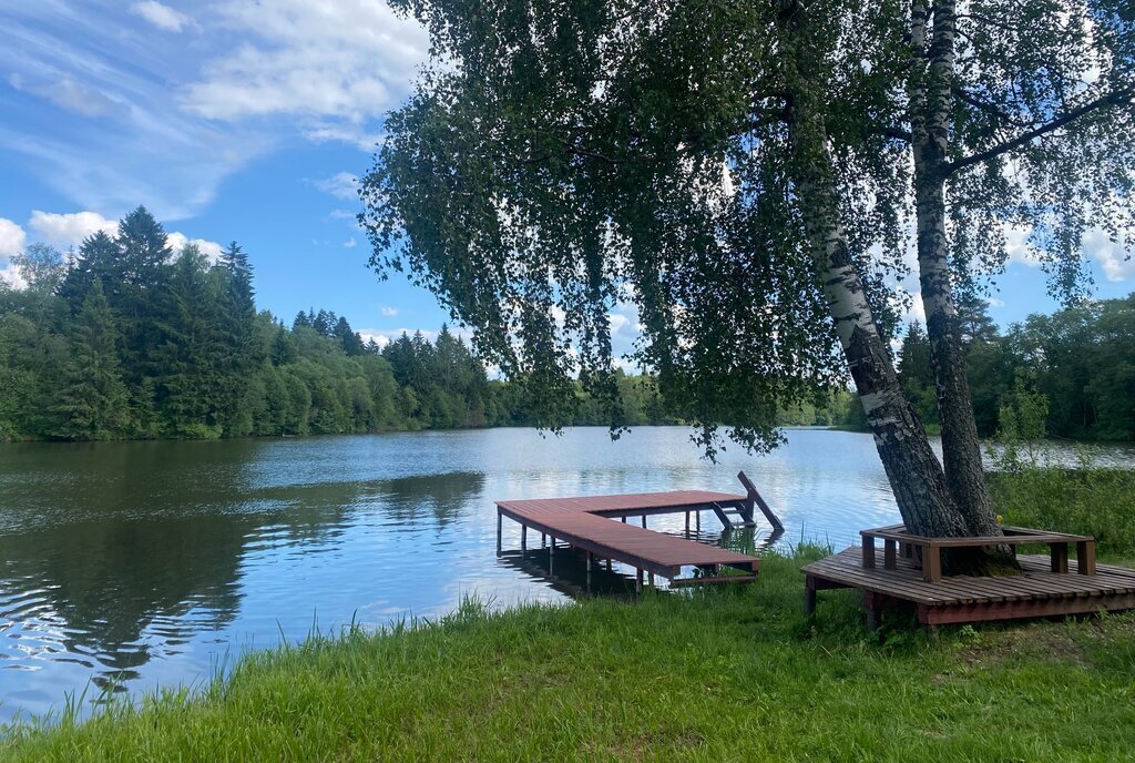 земля городской округ Рузский дачный посёлок Мамошино Ком, улица Елисейские Поля фото 12