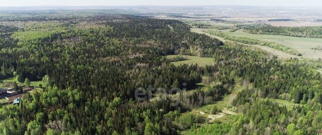 земля фото