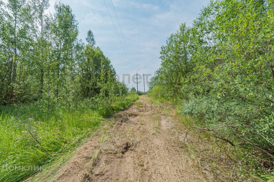 земля г Наро-Фоминск ул Яблоневая 30 Наро-Фоминский городской округ фото 8