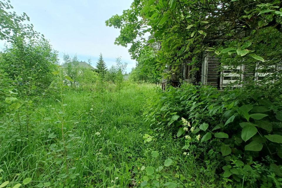 земля р-н Гатчинский городской посёлок Вырица, улица Калинина фото 10