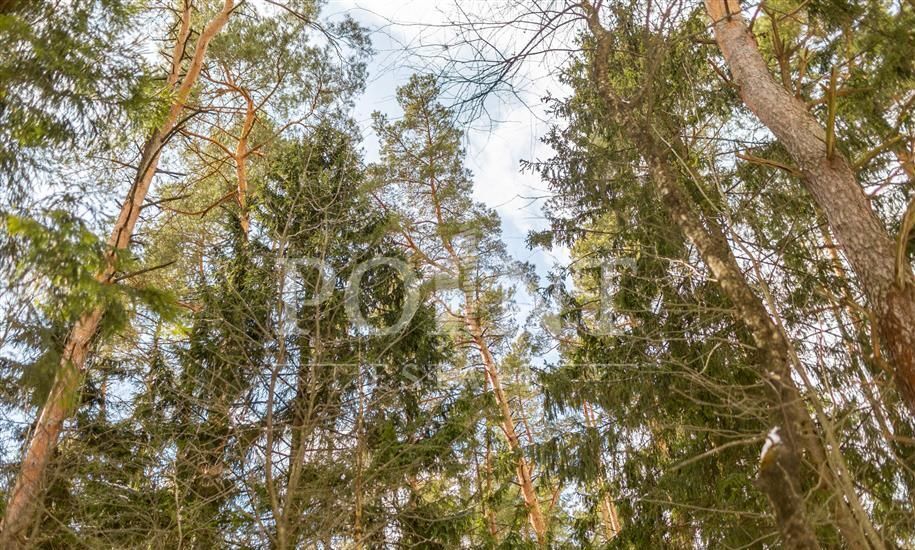 земля городской округ Одинцовский п Николина Гора коттеджный посёлок Никологорское, Красногорск фото 1