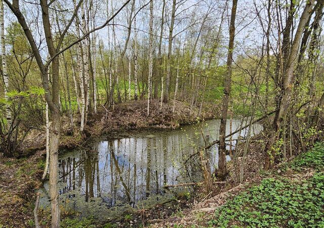 земля Всеволожское городское поселение, 61, Санкт-Петербург фото