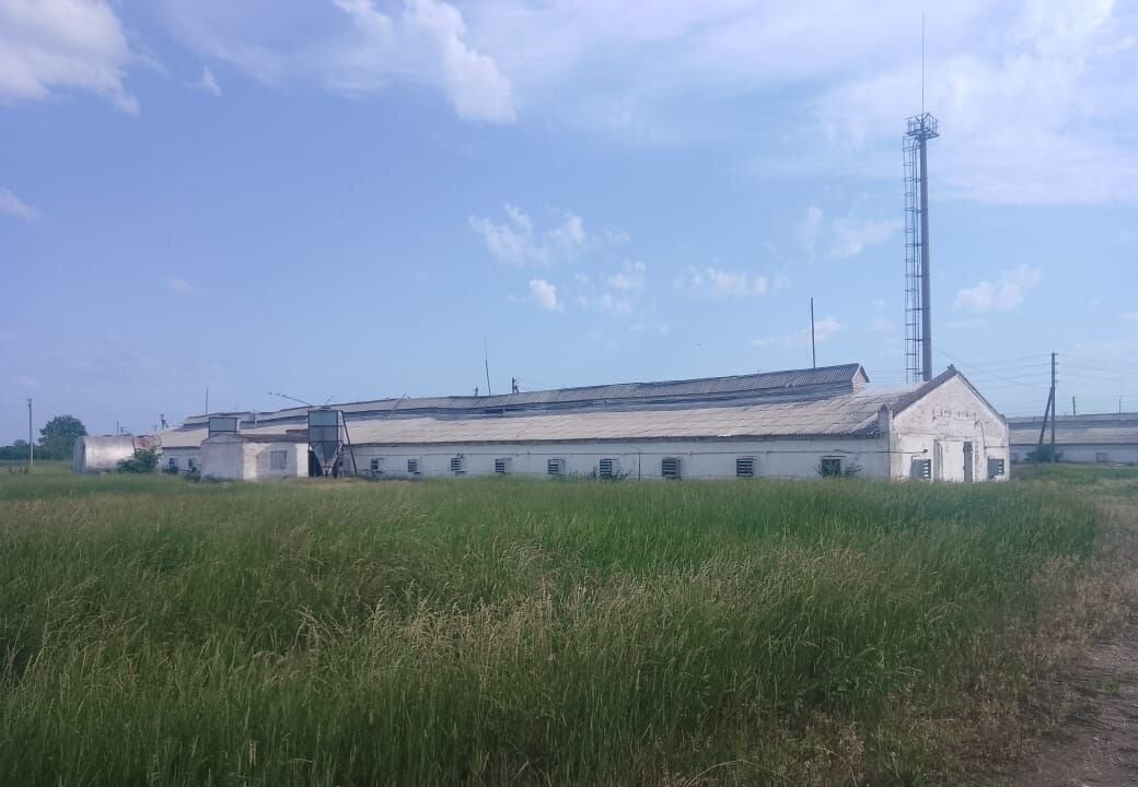 производственные, складские р-н Усть-Лабинский ст-ца Некрасовская ул Светлая 142 Некрасовское сельское поселение фото 9