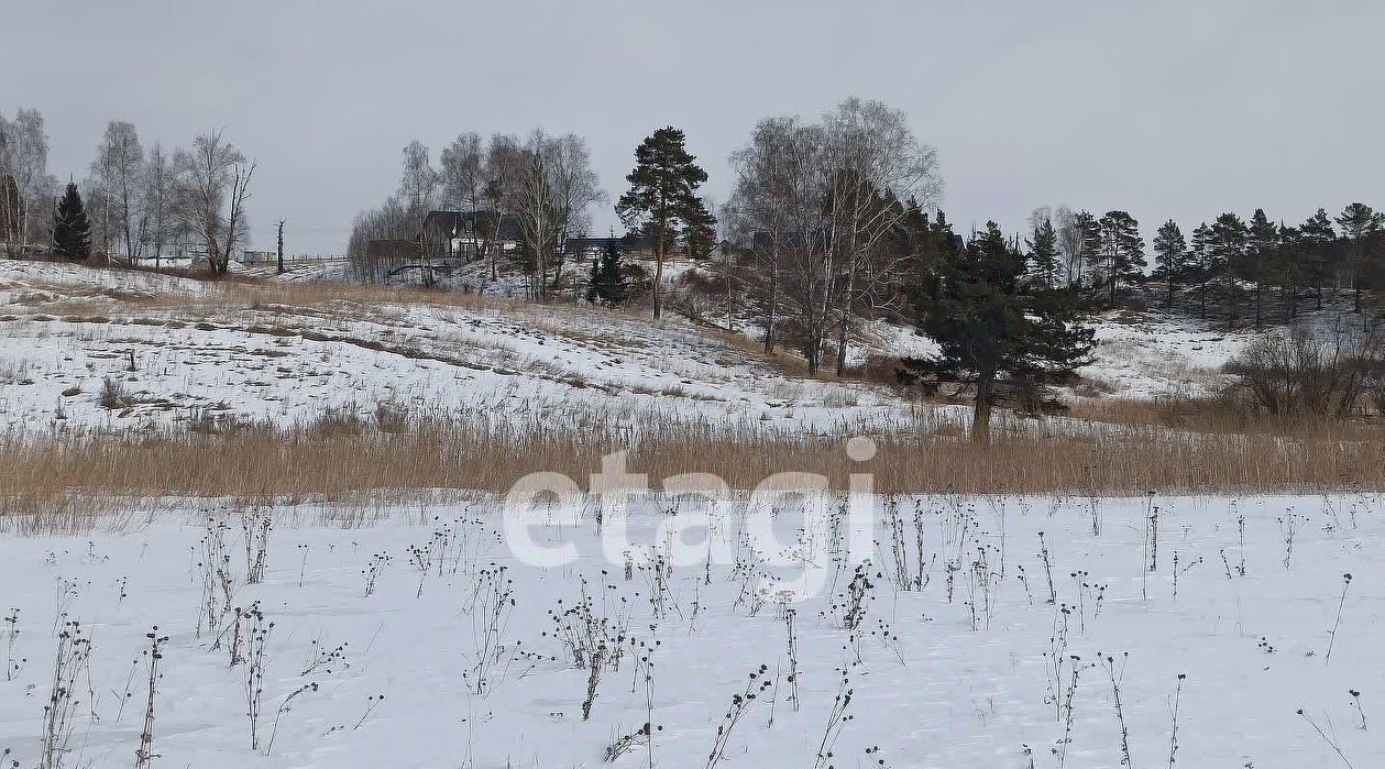 дом р-н Емельяновский д Крутая Емельяново городское поселение фото 14