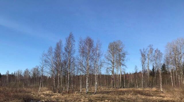 снт Медик Советское городское поселение, Выборгский район фото