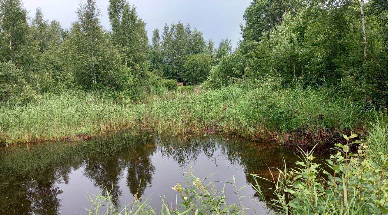 земля р-н Гатчинский снт Ритм 476, Строганово садоводческий массив фото 10