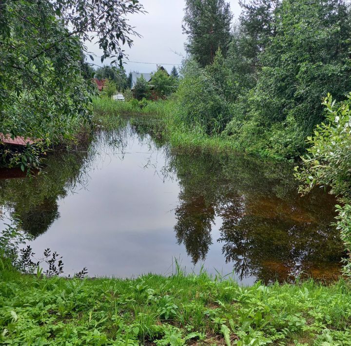 земля р-н Гатчинский снт Ритм 476, Строганово садоводческий массив фото 11