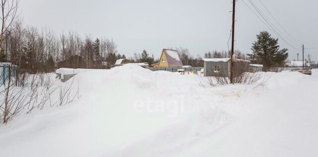 Сургутского муниципального района тер. фото