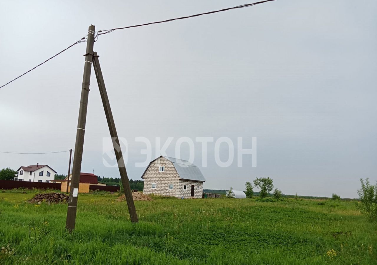 земля р-н Волосовский д Новые Раглицы Калитинское сельское поселение, Елизаветино фото 3