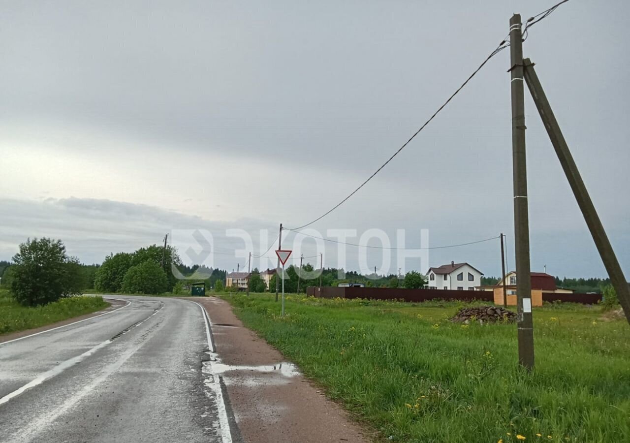 земля р-н Волосовский д Новые Раглицы Калитинское сельское поселение, Елизаветино фото 4