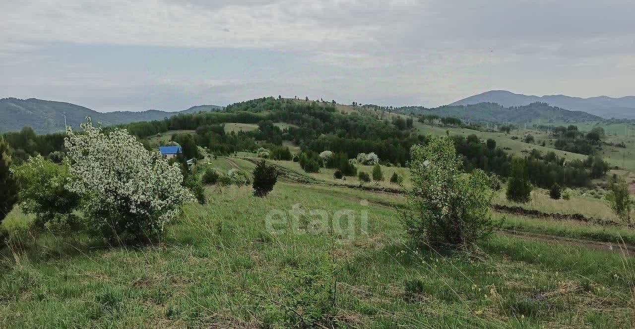 земля г Горно-Алтайск снт Электросигнал фото 1