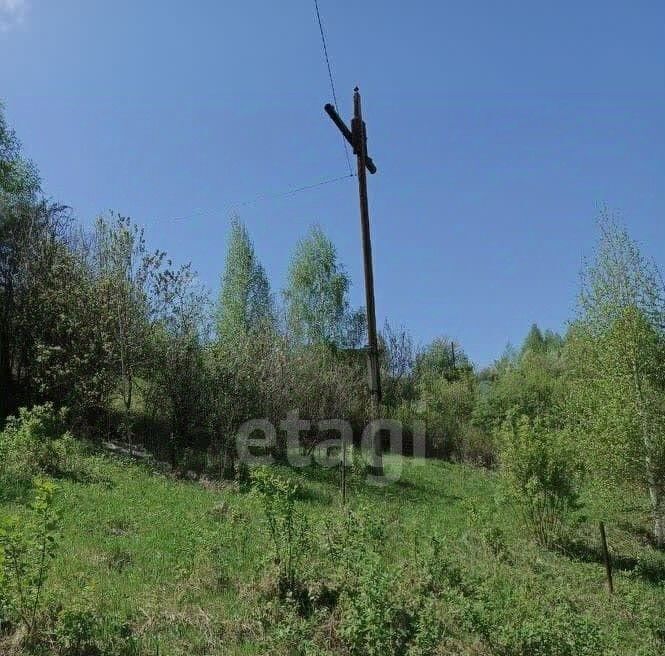 земля г Горно-Алтайск снт Электросигнал фото 4