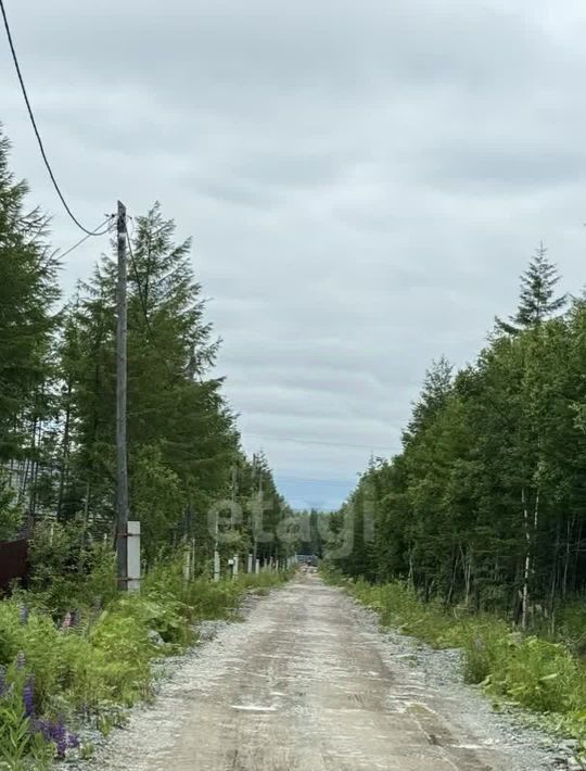 земля р-н Анивский снт тер.Изабелла фото 3