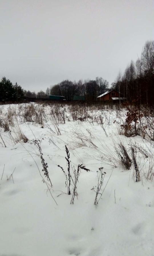 земля городской округ Чехов д Зыкеево Троицкое фото 3