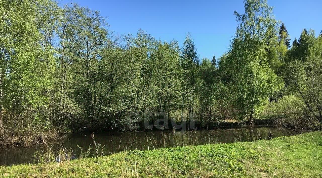 земля городской округ Солнечногорск д Хоругвино Зеленоград — Крюково фото 2