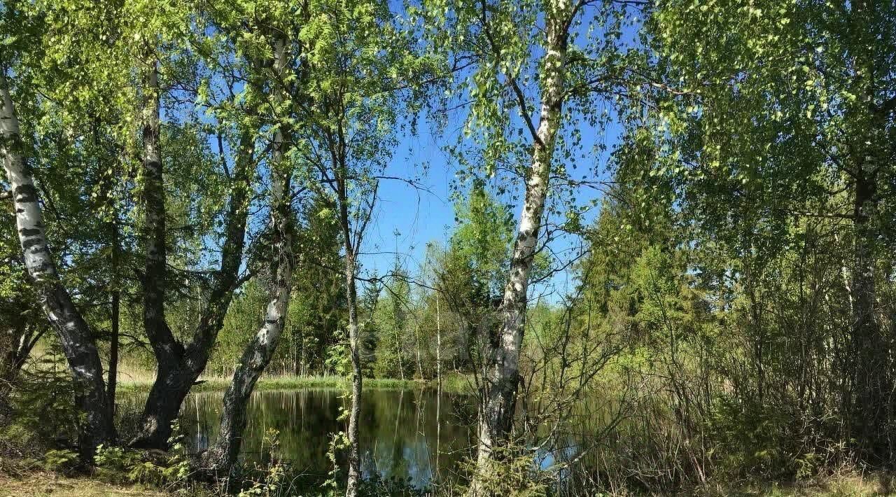 земля городской округ Солнечногорск д Хоругвино Зеленоград — Крюково фото 3