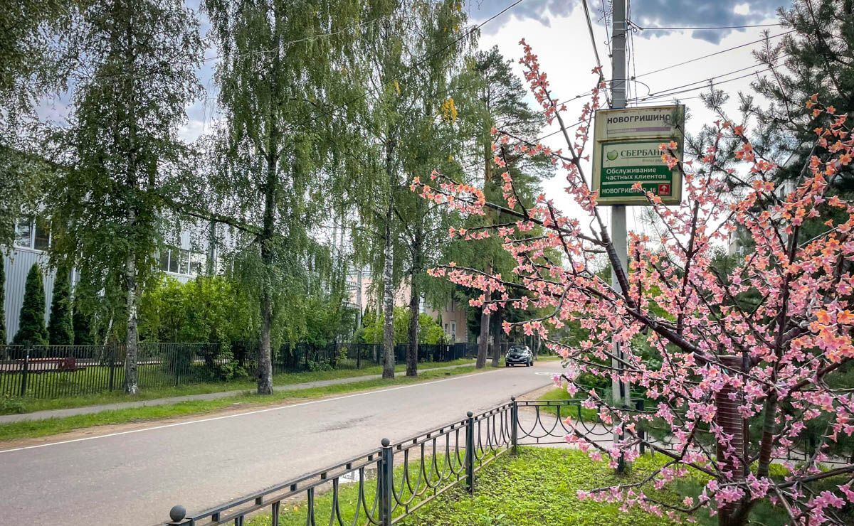 земля городской округ Дмитровский п Новое Гришино Деденево фото 5