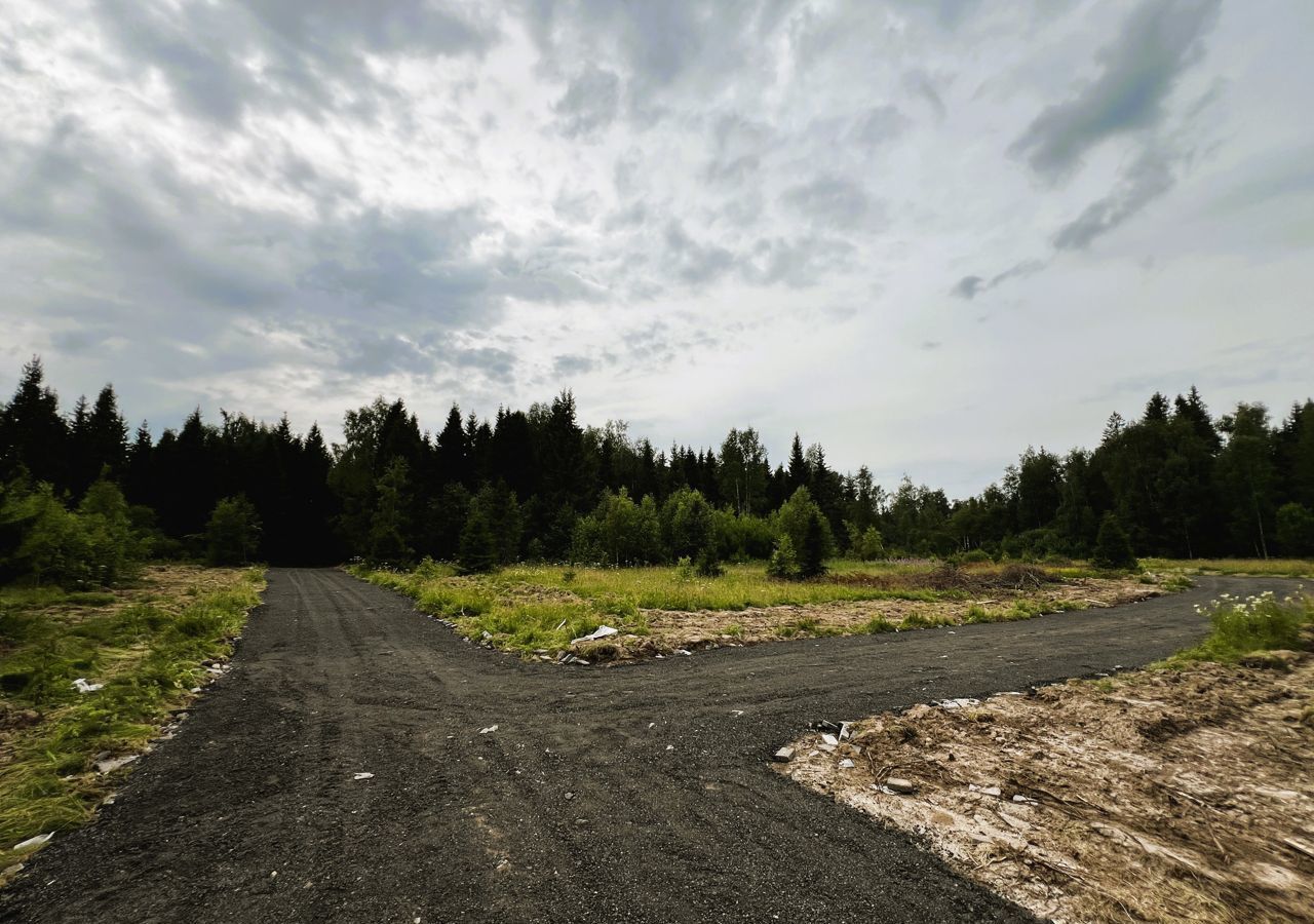 земля городской округ Дмитровский д Удино Икша фото 7