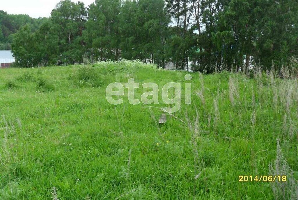 земля р-н Тобольский п Прииртышский пер Татарский фото 4