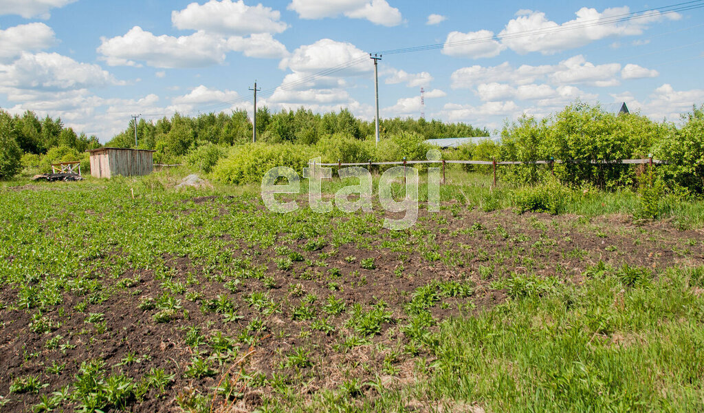 земля р-н Тобольский с Карачино ул Казачья Карачинское сельское поселение фото 7