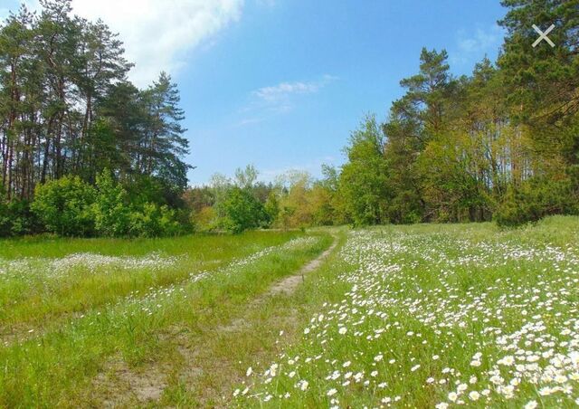 снт Надежда-3 муниципальное образование Нагорное, Вольгинский фото