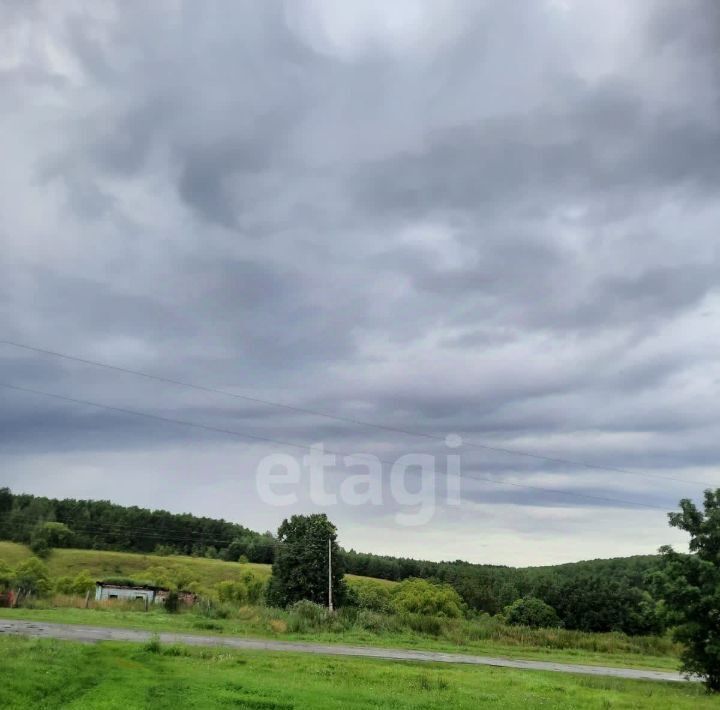 дом р-н Каменский с Блиновка ул Еланская 44 фото 5