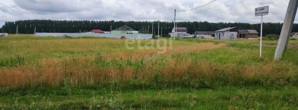 земля р-н Омский с Усть-Заостровка ул Березовая фото 4