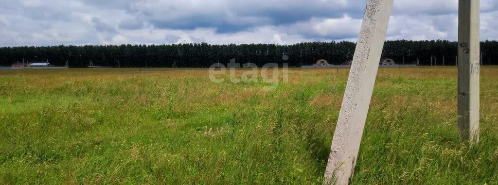 земля р-н Омский с Усть-Заостровка ул Березовая фото 4