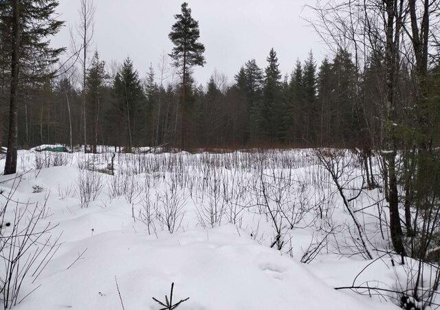 ул Базарная 27 Тихвинское городское поселение, Тихвин фото