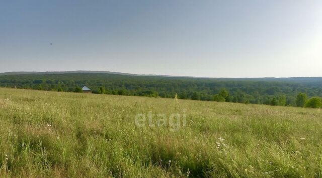 с Красноусольский ул Светлая 37 сельсовет фото