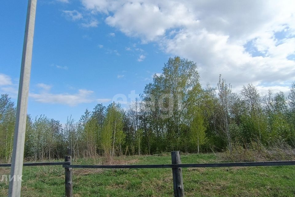 земля городской округ Томск, СТ Левобережье фото 2