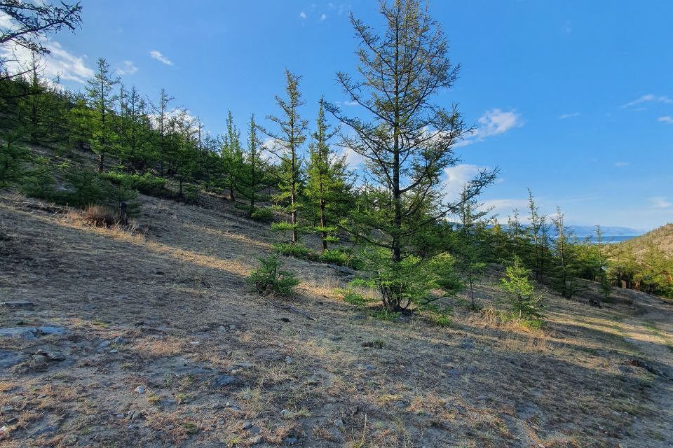 земля р-н Ольхонский местность Мандархан фото 9