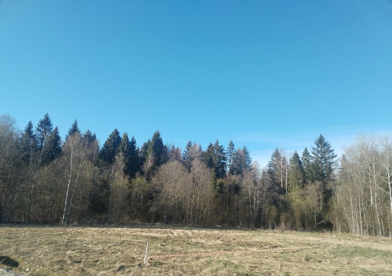 земля р-н Грязовецкий д Палкино ул Центральная Грязовец фото 4