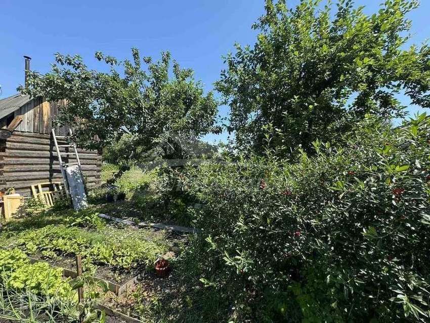 земля городской округ Тюмень, территория СОСН Солнечная Поляна, Васильковая улица фото 1