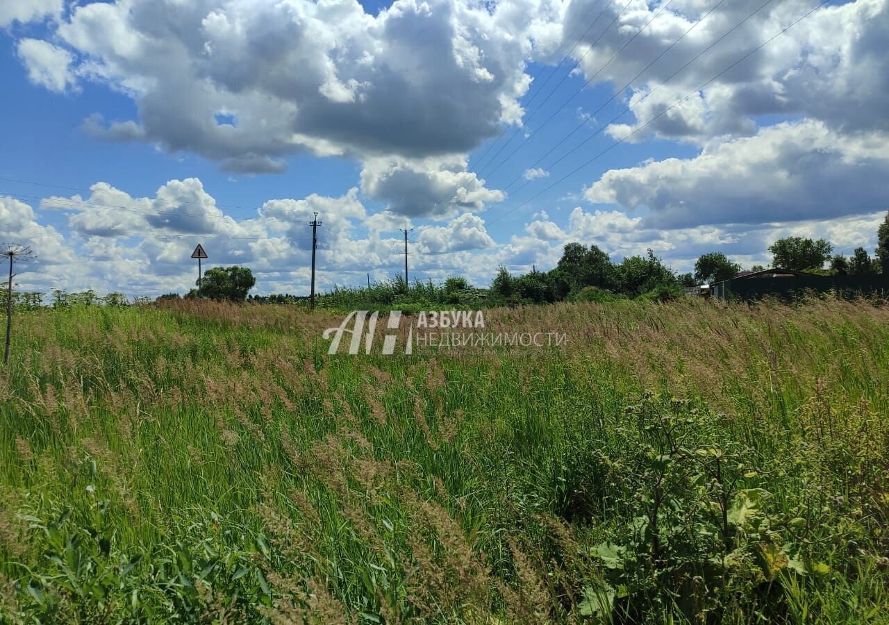 земля городской округ Рузский д Леньково Руза фото 6