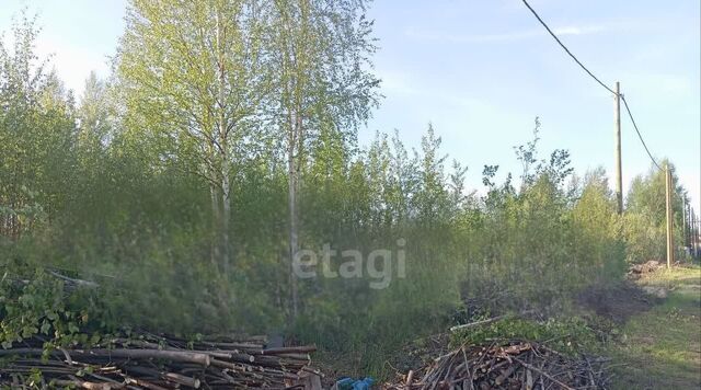 Север-1 садовое товарищество, Девятая линия фото