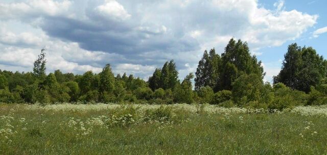 ул. Большая Октябрьская, Переславль-Залесский городской округ фото