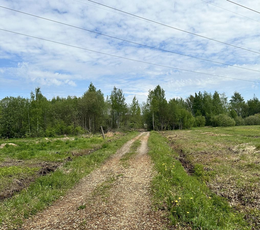 земля г Электросталь ул Юбилейная 3 40 км, Горьковское шоссе фото 35